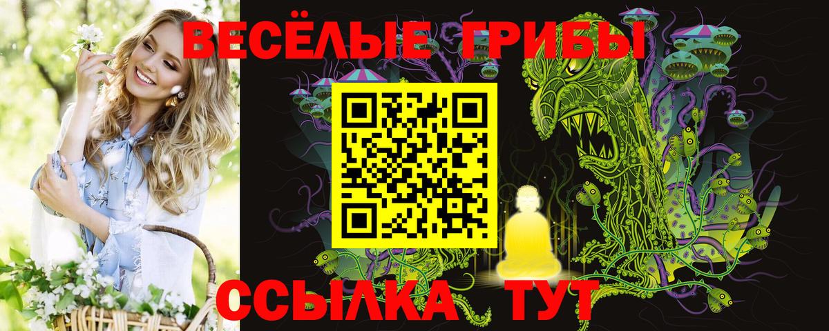 Будённовск  Галлюциногенные грибы ЛСД  Вход с VPN 